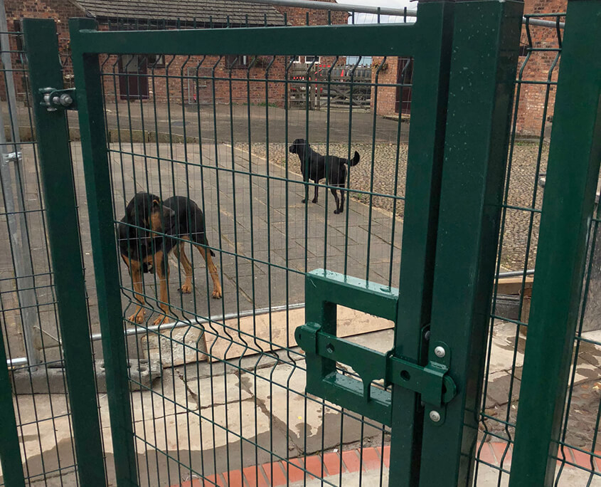 V mesh gate 8175 tatton fencing V mesh gate