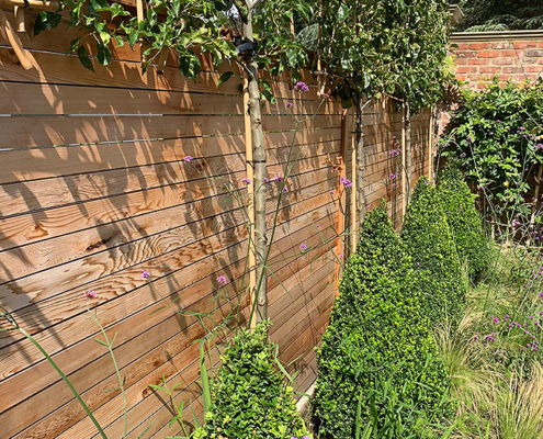 cedar fencing