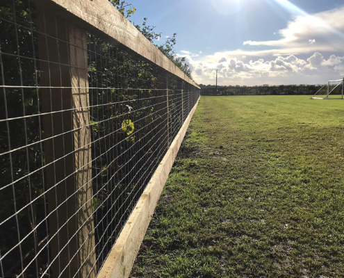 dog proofing