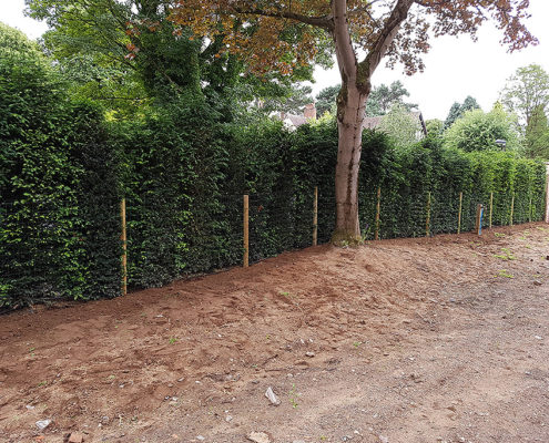 dog proofing 01 tatton fencing