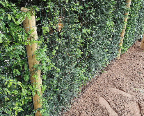dog proofing 02 tatton fencing