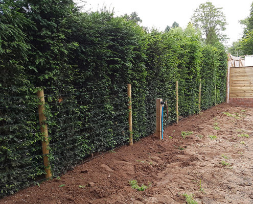 dog proofing 03 tatton fencing