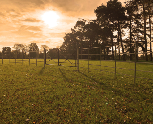 estate-fencing-19-tatton-fencing Estate fencing