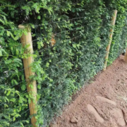 Dog Proof fencing installation by Tatton Fencing
