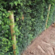 Dog Proof fencing installation by Tatton Fencing