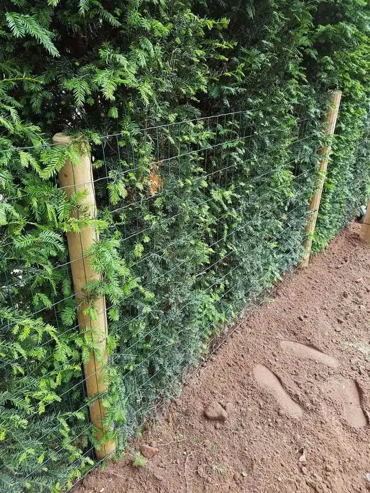 Dog Proof fencing installation by Tatton Fencing