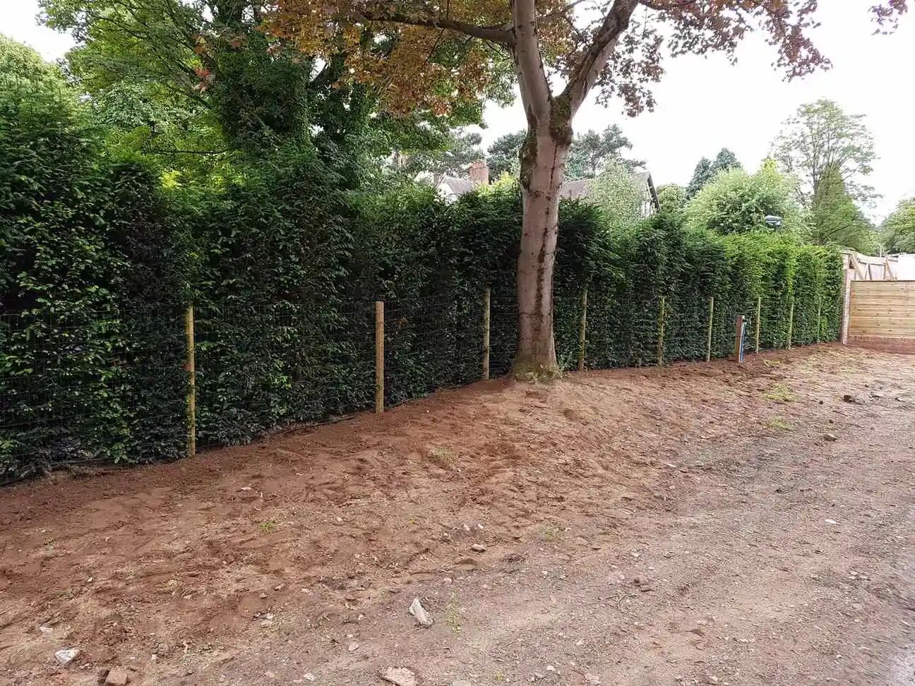 Dog Proof fencing installation by Tatton Fencing