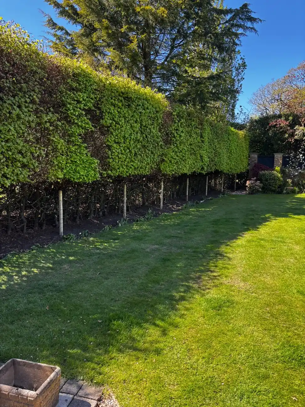 Dog proof garden fencing installed by Tatton Fencing