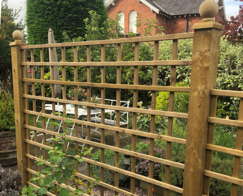square trellis
