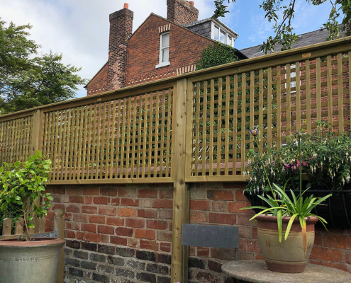 Jacksons Trellis