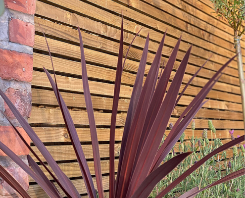 venetian fencing